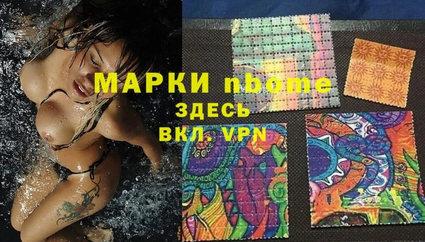 стаф Алзамай