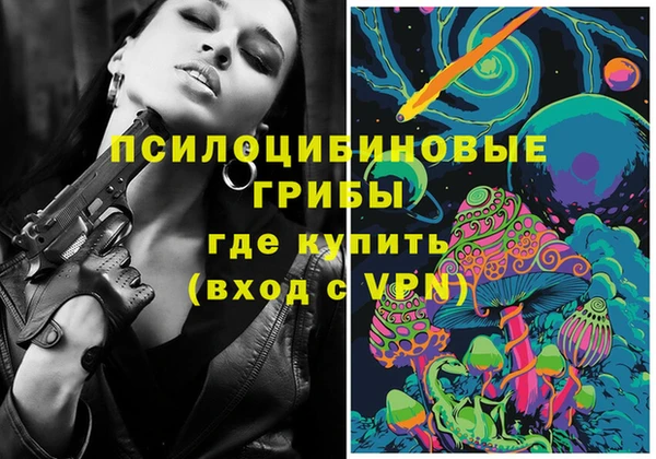 стаф Алзамай