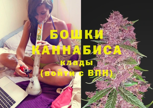 сатива Алексин