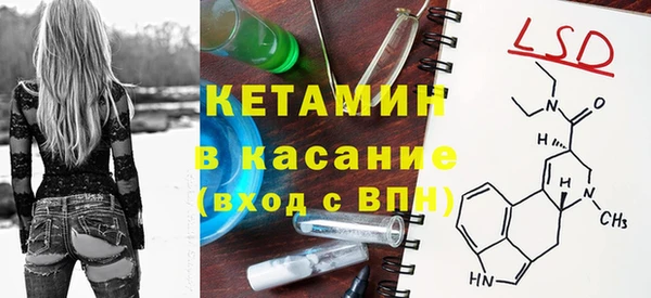 стаф Алзамай