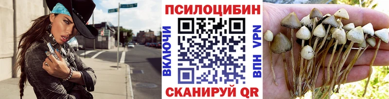 Галлюциногенные грибы Psilocybine cubensis Сосновоборск