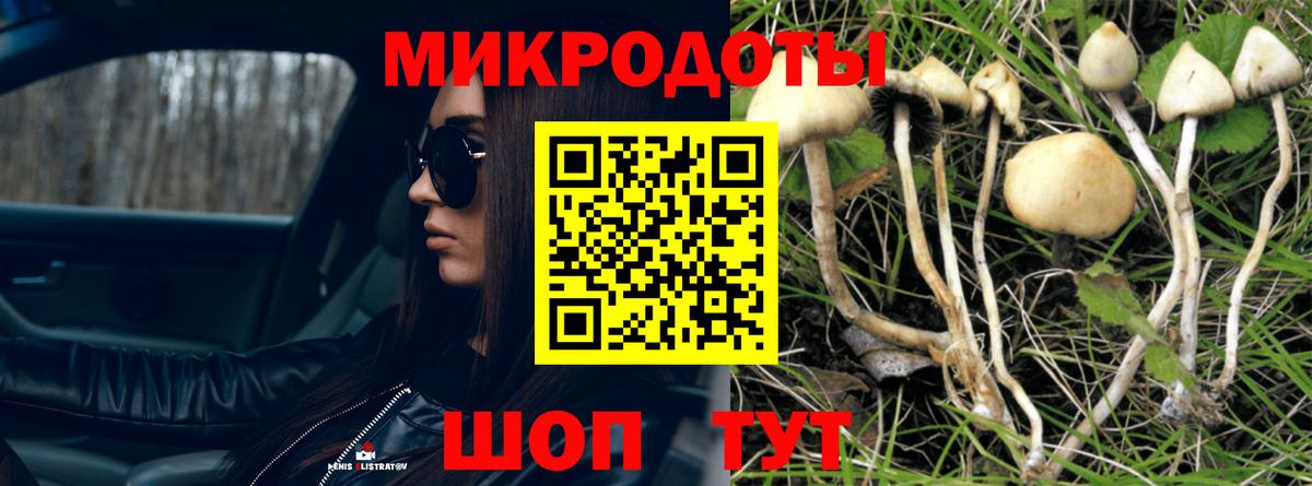 Псилоцибиновые грибы Psilocybe  Вход с VPN  Сосновоборск 